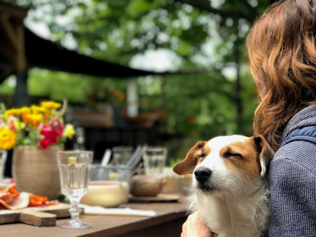 Pet-Friendly Restaurant in Woking – Discover Ihlara Restaurant